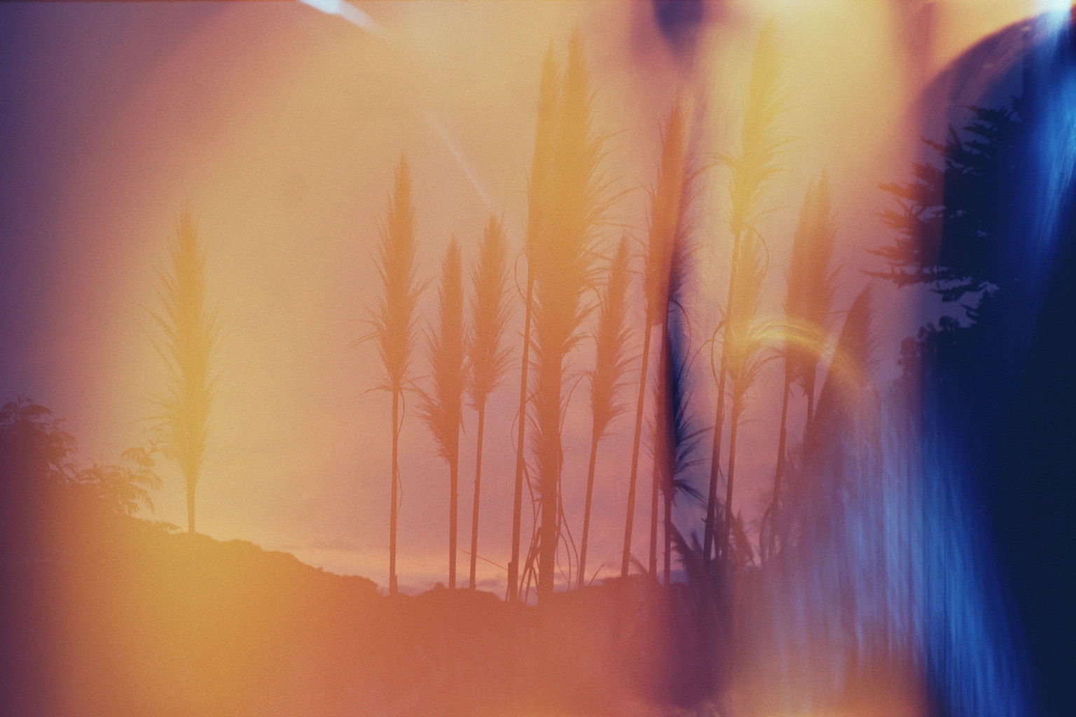 A Digital Scrapbook - 1