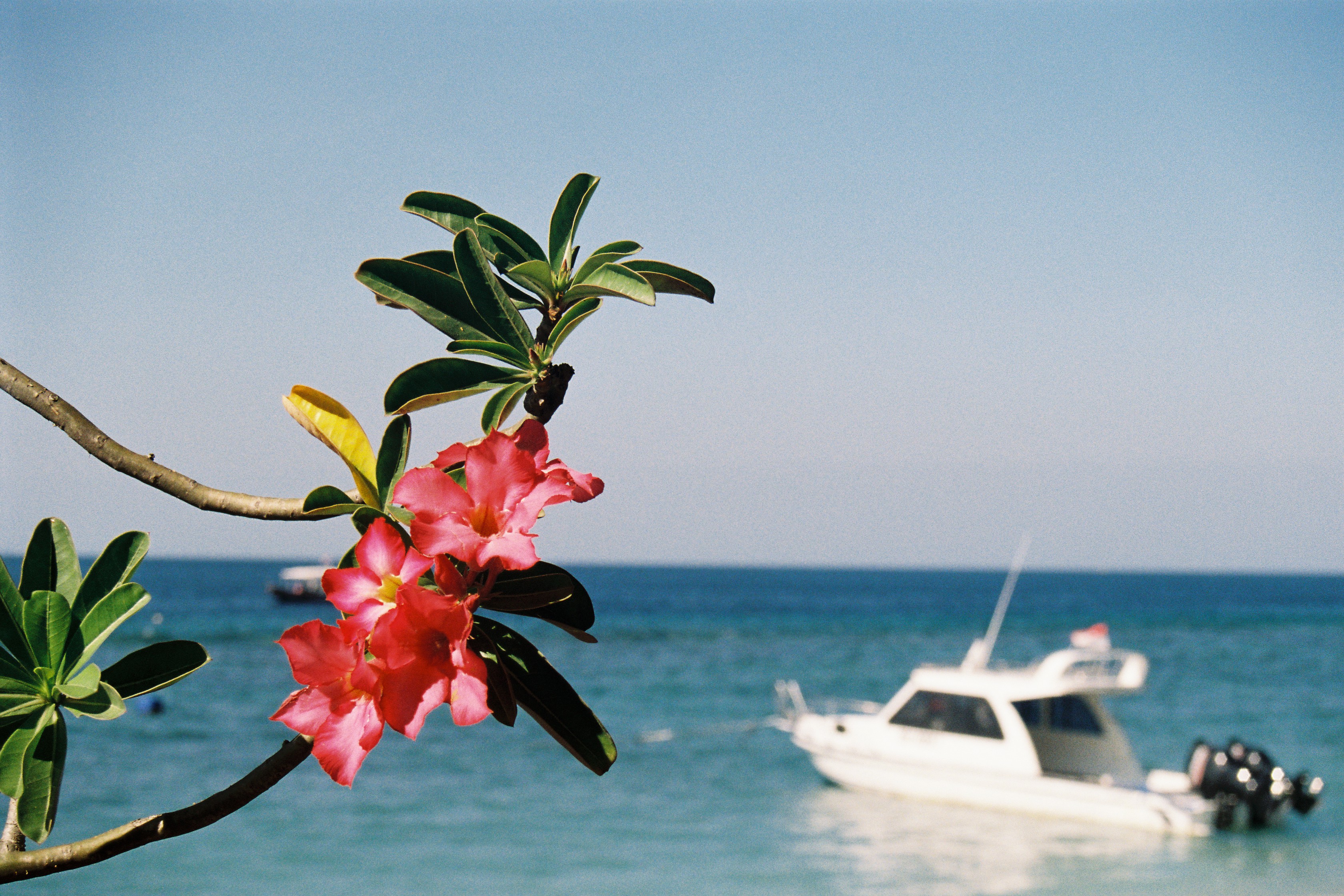 A Digital Scrapbook - 4